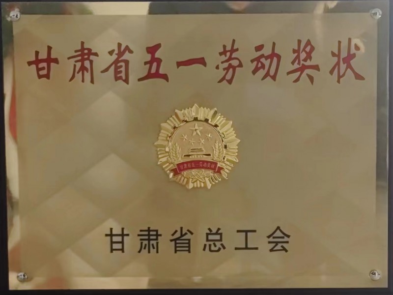 蘭州中川國際機場(chǎng)三期擴建工程機場(chǎng)工程順利通過(guò)行業(yè)驗收